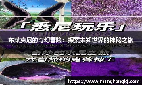 布莱克尼的奇幻冒险：探索未知世界的神秘之旅
