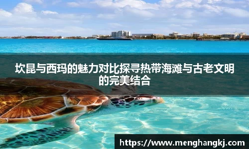 金沙8087